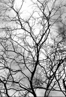 Этот рассказ я написала лет в пятнадцать, если память не изменяет. И, конечно, со временем немного отшлифовала, тем не менее сильно не меняя. Он дорог мне, такой как... Оторванная