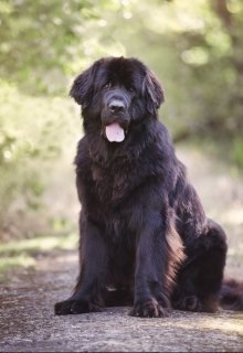 Отпуск для Кошмара