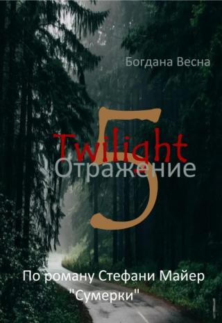 Отражение 5. Сумерки