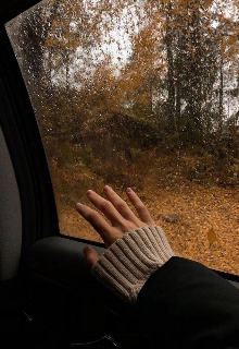 Отражение теней