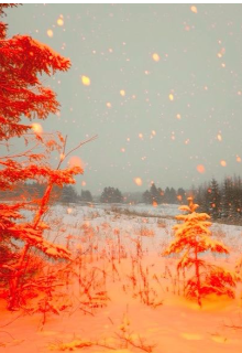 Отверженные