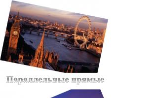 Параллельные прямые [calibre 2.71.0, publisher: SelfPub.ru]