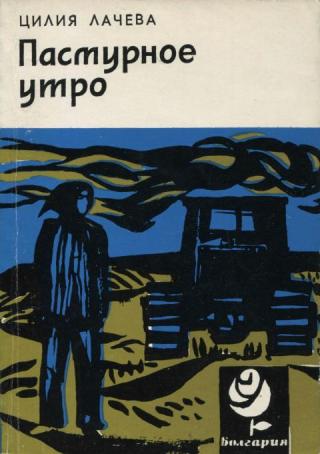 Пасмурное утро