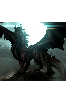 Первый полет