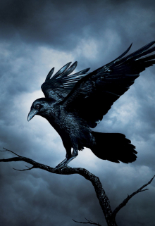 Первый рейс (