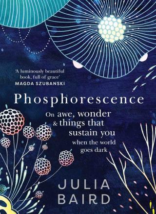 Phosphorescence [On awe, wonder & things that sustain you when the world goes dark]