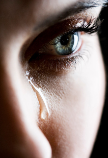 Писатель и Леди