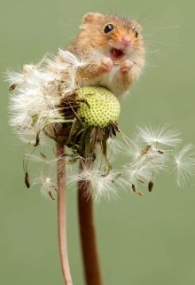 Пиши каждый день