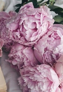 Письма для Линды