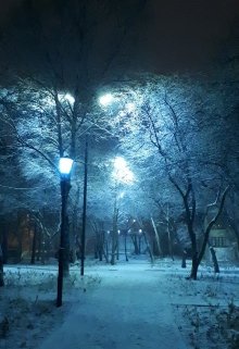 Пластиковые воспоминания