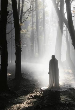 Пленник леса