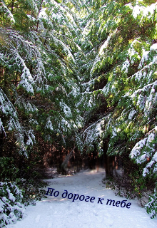 По дороге к тебе