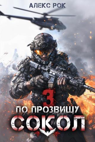 По прозвищу «Сокол». Том 3