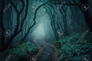 По темной тропе