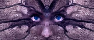 Подаяние (СИ)