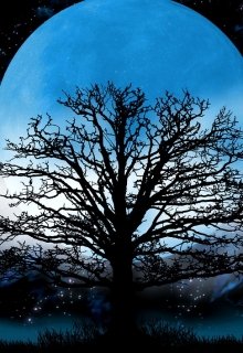 Поиск дитя луны в городе теней