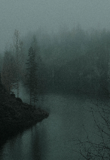 Пока идёт дождь