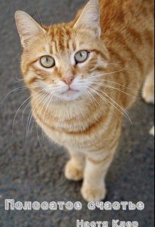 Полосатое счастье