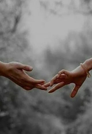 Половинки?!