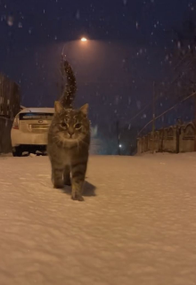 После снега
