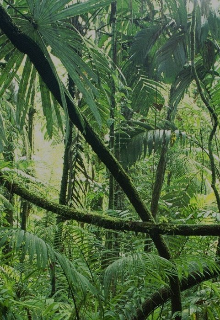 Последний день вместе