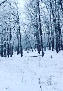 Предновогоднее чудо