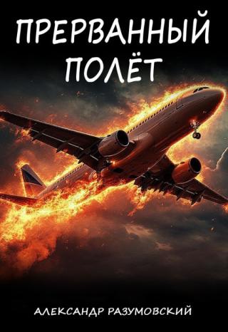Прерванный полёт