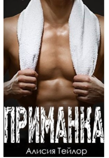 Приманка. Бойцы 2.