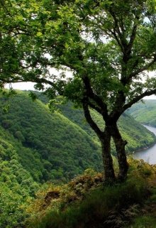 Принуждённое замужество 2