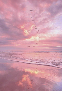 Привет, Аида