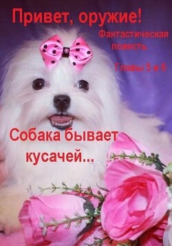 Привет, оружие! (главы 5 и 6)