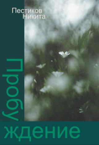 Пробуждение