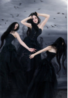 Проклятье мёртвых роз