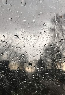 Проклятый дождь