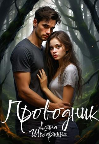 Проводник