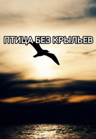 Птица без крыльев