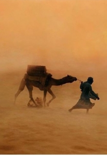 Пустынный этюд