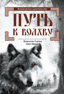 Путь к Волхву