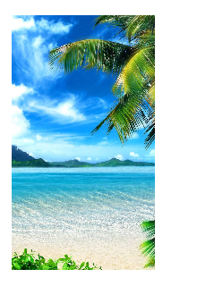 Путевка в жизнь