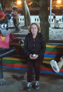 Путевой дневник