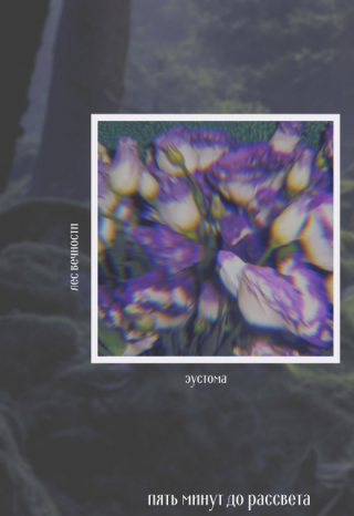 Пять минут до рассвета