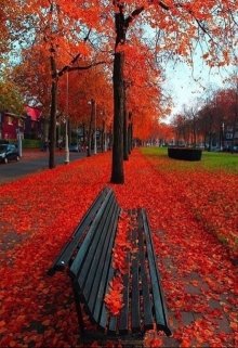 Сборник рассказов