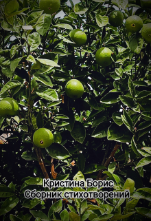 Сборник стихотворений