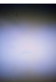 Сэлли и чудовище