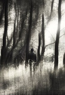 Семьдесят тонн угля