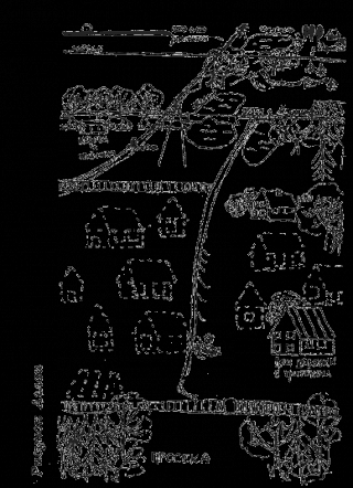 Сердцебиение плода