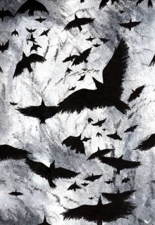 Серые птицы