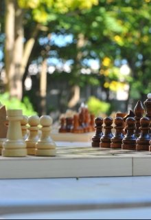 Серый кардинал