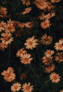 Сгорание в огне