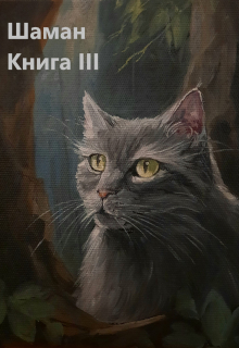 Шаман. Книга третья